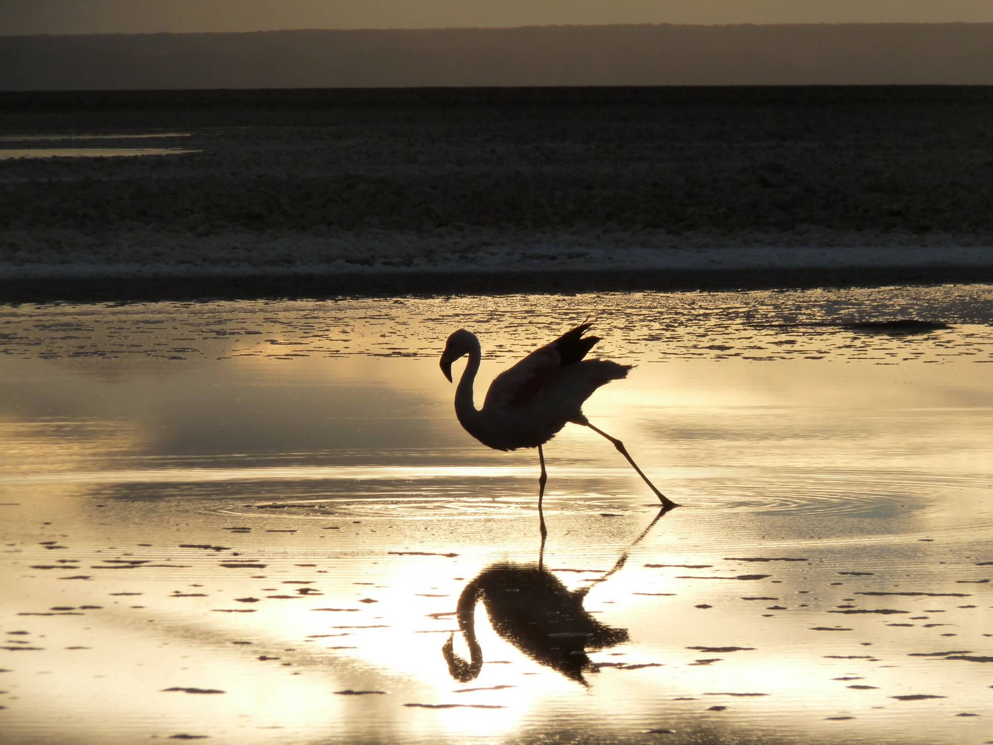 atardecer-atacama